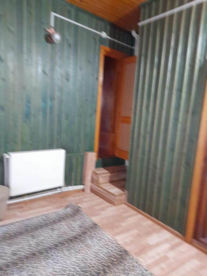 فندق Barlogul Ursilor Lepşa المظهر الخارجي الصورة